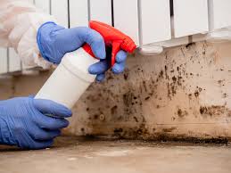 Asbestos and Lead Testing During Mold Inspection in Sandwich, IL